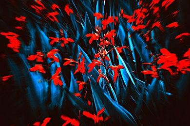 育碧回应玩家请求 《刺客信条：幻景》加入“刺客猫”